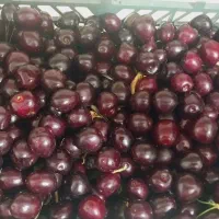 گیلاس مشکی عین شربت میمونه