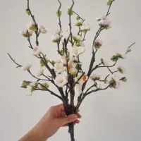 گل شکوفه ژاپنی
