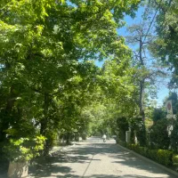 نیاوران-فرعی-دنج-ومشجر-ویوباغی