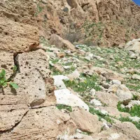 فروش زمین در محله زیبا مکان
