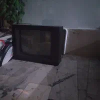 تلوزیون