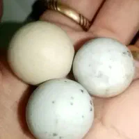 الماس، سنگ آسیاب وسکه قدیمی