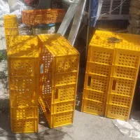 سبد بزرگ