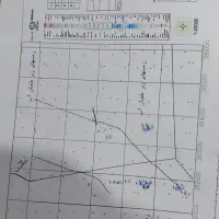 مجوزپرورش-میگو