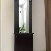 جاکفشی