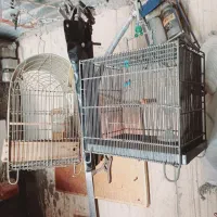 قفس سهره
