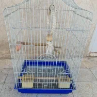 قفس طوطی