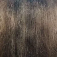 ارایشگری