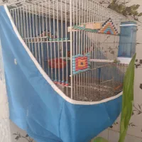 سهره خاکی