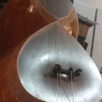 تار رضا شکوهمند دومهر
