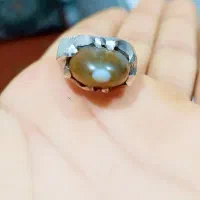 شادگان