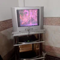 تلویزیون