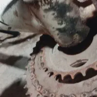شعیبیه شهرستان شوشتر
