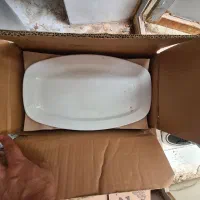 دیس چینی کباب و جوجه و برنج و مرغ رستورانی