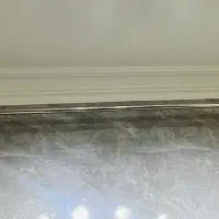 رگال استیل