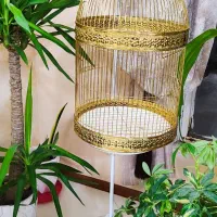 فروش ویژه قفس پرنده