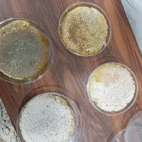 عسل طبیعی باضمانت