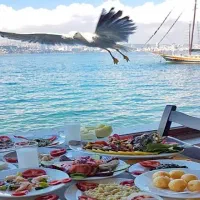 تور استانبول خرداد و تیر در شاپرک سیر