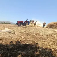 جو بذر