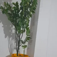 گل طبیعی