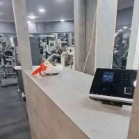 نظافتچی باشگاه بدنسازی