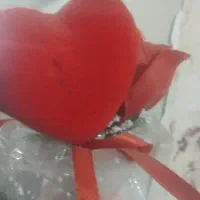 گل رز....پول