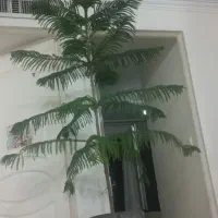 منزل مسکونی رایگان