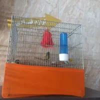 گلبسردرشت بخون