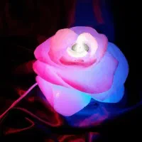 کارگاه|صنایع دستی و سایر لوازم تزئینی|شیراز, گلکوب|دیوار