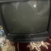 تلویزیون