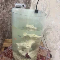 اکواریوم نو
