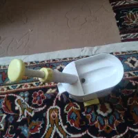 هسته گیرمیوه