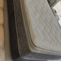 تشک اریکه