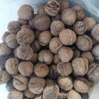 گردوی قاطی زده