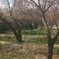 باغچه چهاردیواری سندتکبرگ انشعابات کامل شهریار