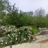 اجاره باغ ویلا دهبکری