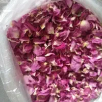 پر گل محمدی