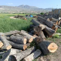 مرکز خرید وفروش چوب «نقدی»