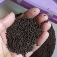 چای واردات هندوستان ساده و معطر عمده فروشی