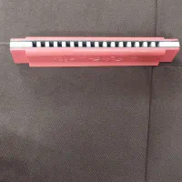 ساز دهنی سالم ۷۵ تومن