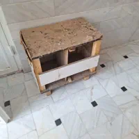 جعبه برا جفت کردن کبوتر