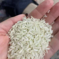 برنج‌ ۲۴۰۰۰۰