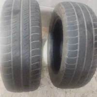 لاستیک ساینا