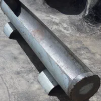 دانه خوری پرندگان