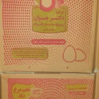 فروش تخم مرغ به قیمت مرغداری