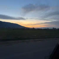 زمین باغی