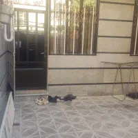 ویلایی-126-متری-بر-6-متر-شمالی-سند-تک-برگ