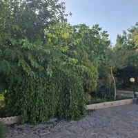باغ ۱۰۰۰ متر.منزل آباد معاوضه با اپارتمان