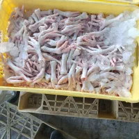 پای خوراکی مرغ گوشتی وغیره خوراکی