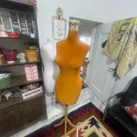 مانکن